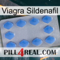 Viagra Sildenafil 21